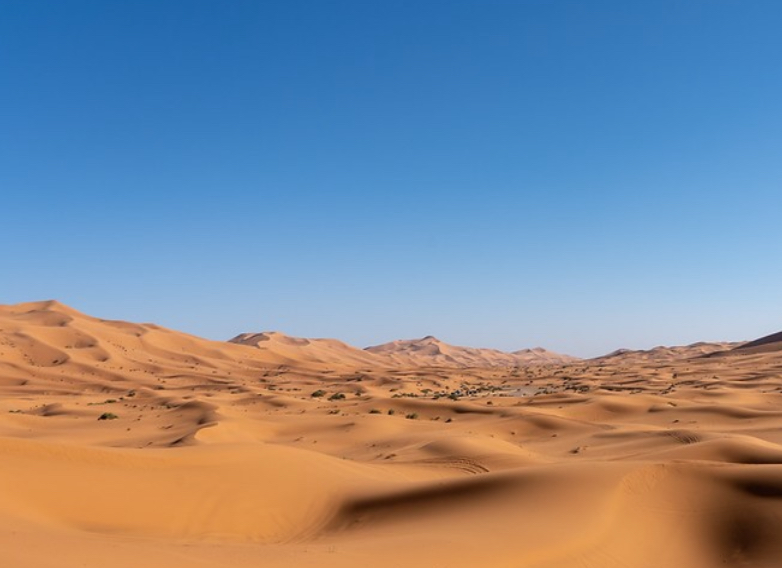 Ojalá vivamos esta Cuaresma como un desierto